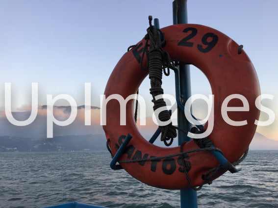 Refuge in the Waters