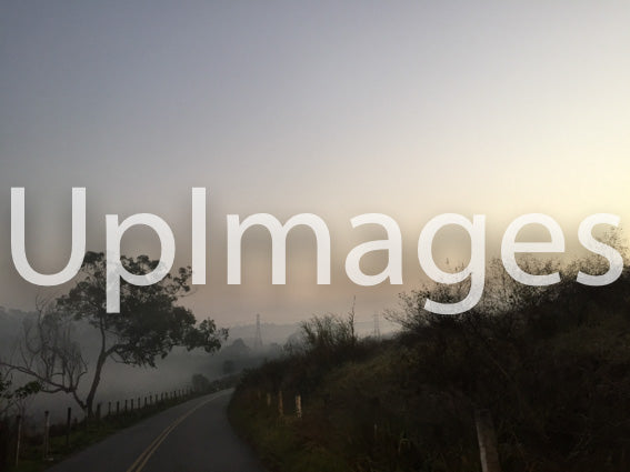 Misty Morning