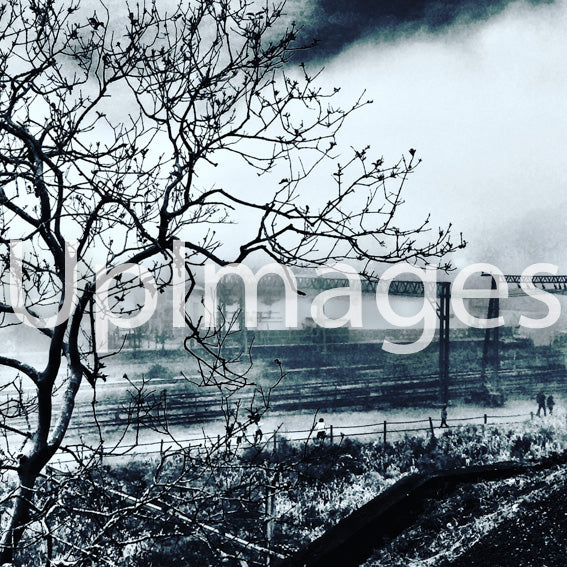 Silhouettes and Memories