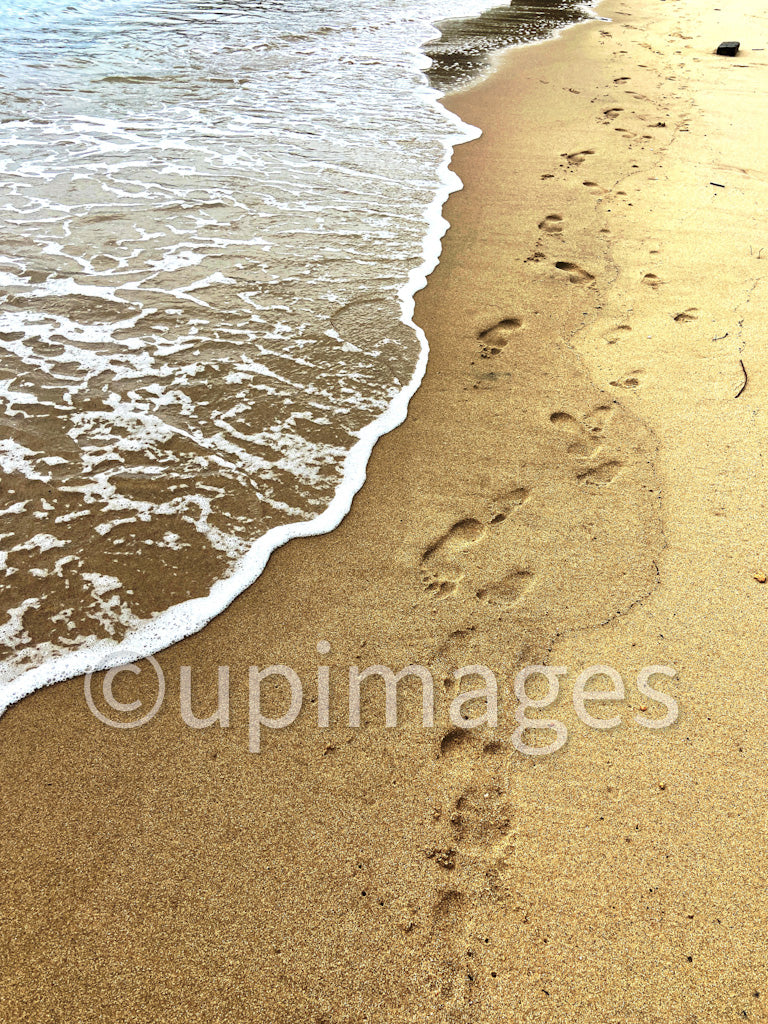 Traces of Time