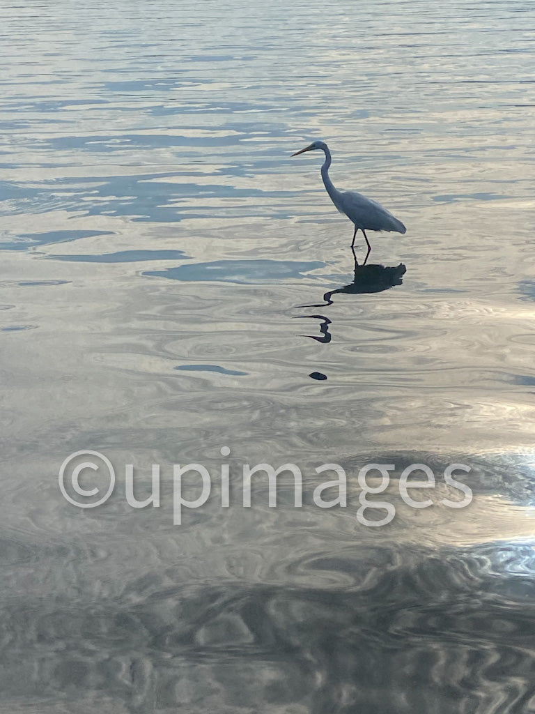 Reflection of Peace