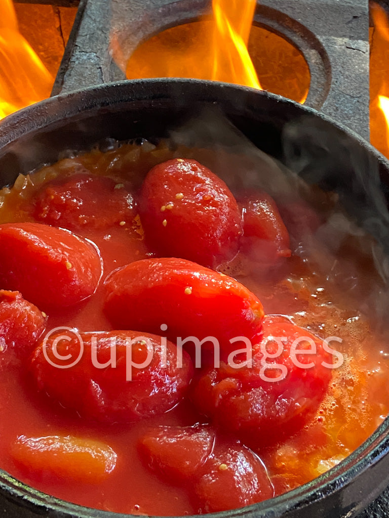 Hot Tomatoes