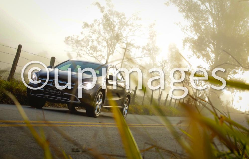Pure Performance 06