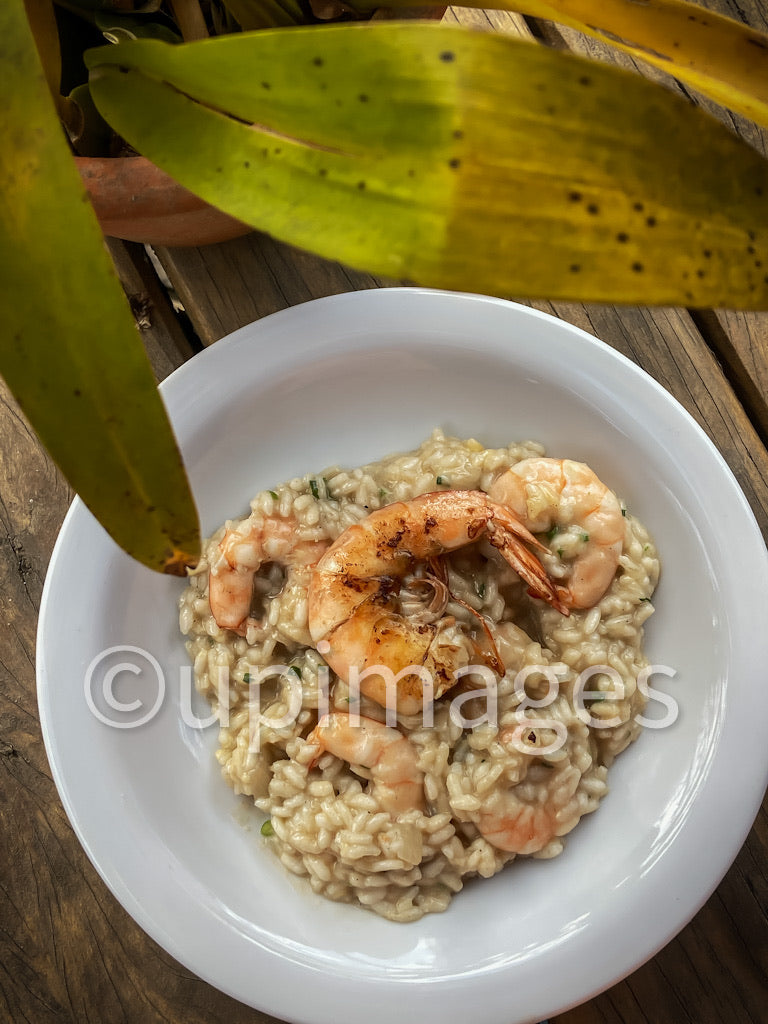 Risotto cremoso com camarões grelhados