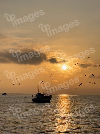 Pescador de Paraty