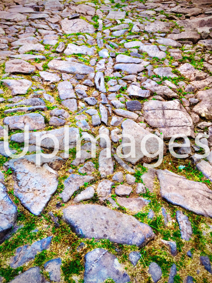 Stone Legacy