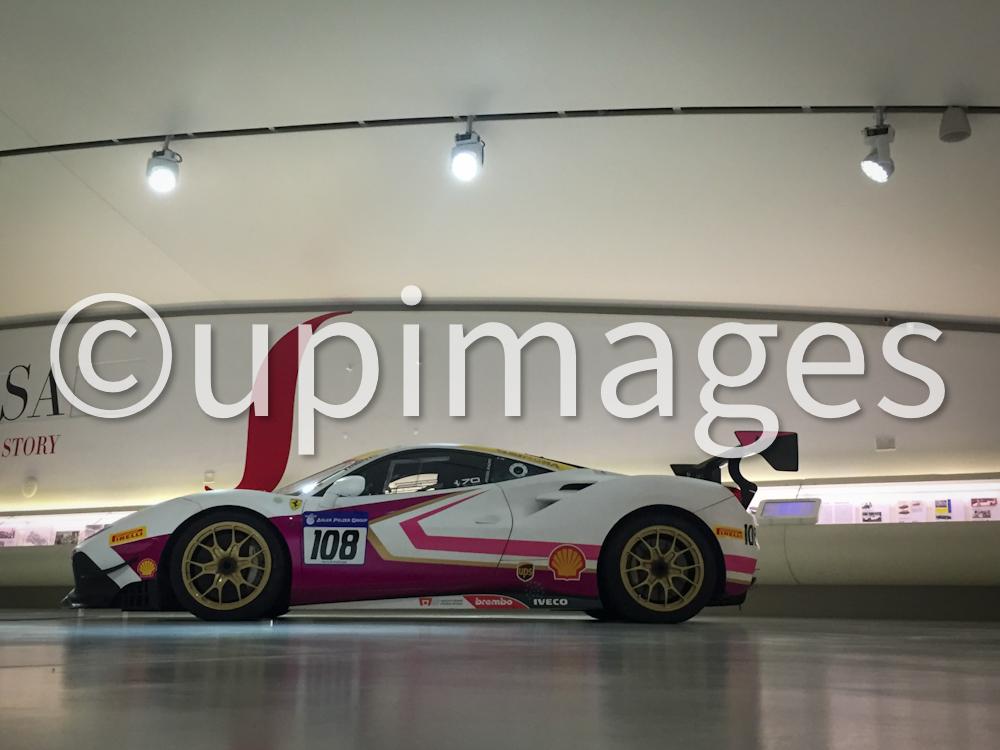 Pure Performance 13