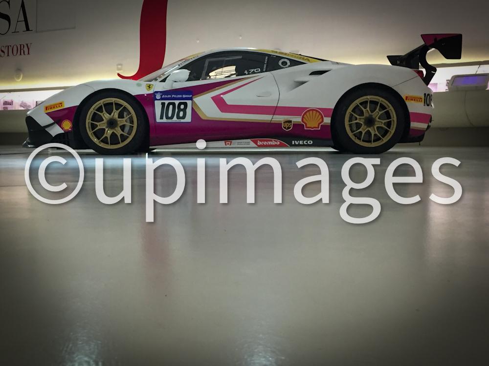 Pure Performance 14