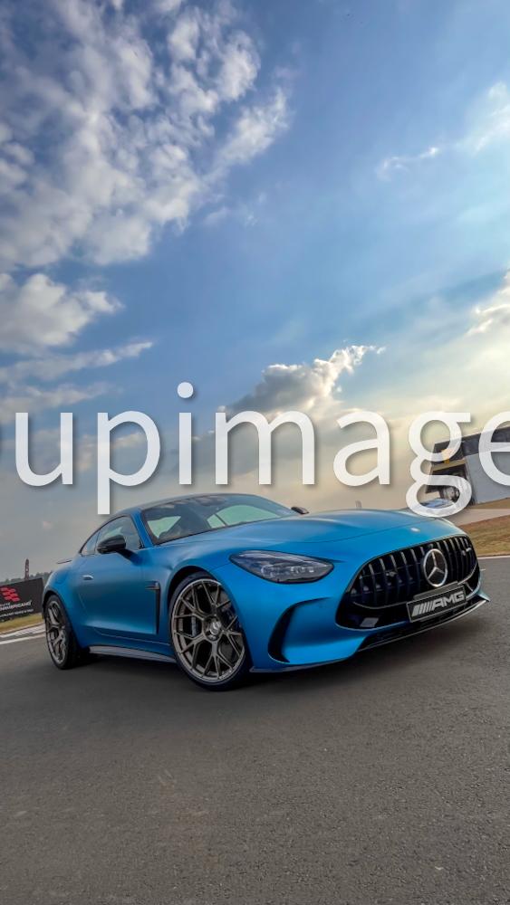 Pure Performance 19